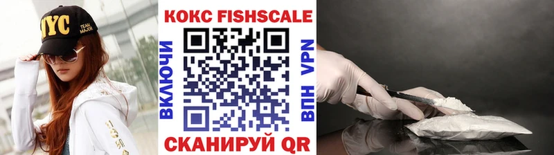 Кокаин FishScale  Купить закладки  Ветлуга 