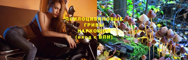 стафф Белокуриха