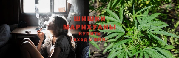 гашиш Беломорск