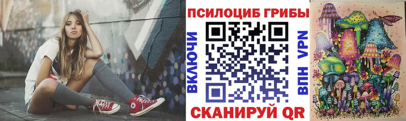 Купить  Ветлуга  Галлюциногенные грибы ЛСД 